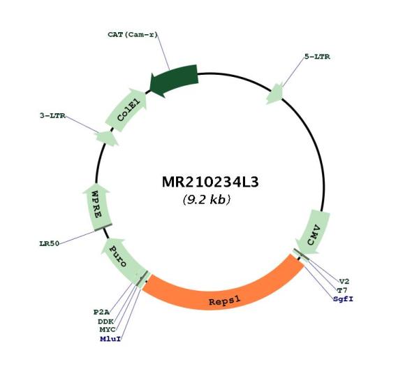 Circular map for MR210234L3