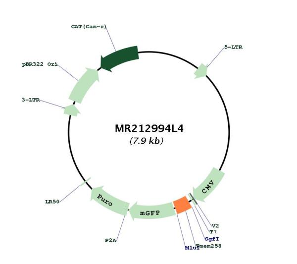 Circular map for MR212994L4