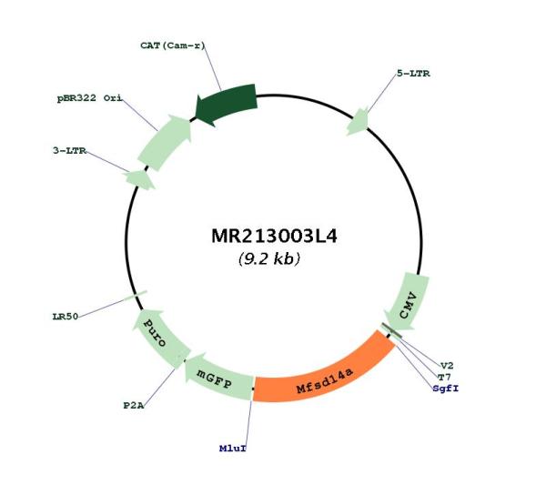 Circular map for MR213003L4