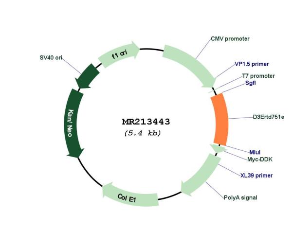 Circular map for MR213443