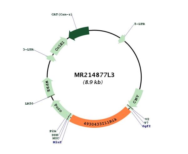 Circular map for MR214877L3