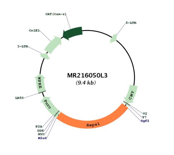 Circular map for MR216050L3