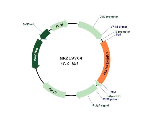 Circular map for MR219764
