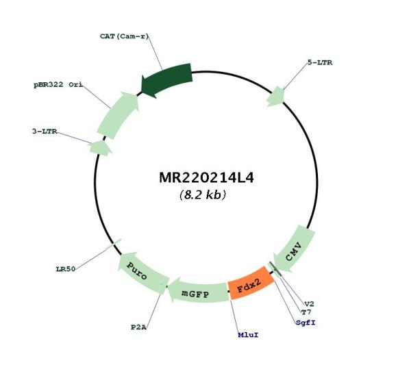Circular map for MR220214L4
