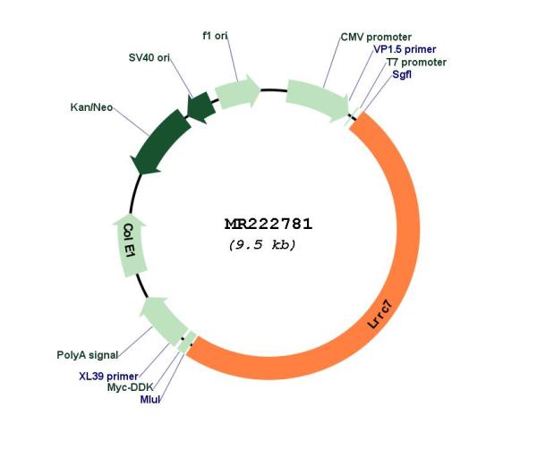 Circular map for MR222781