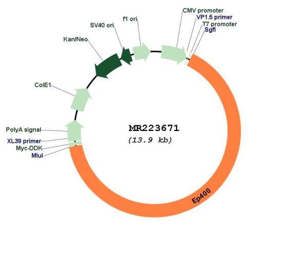 Circular map for MR223671