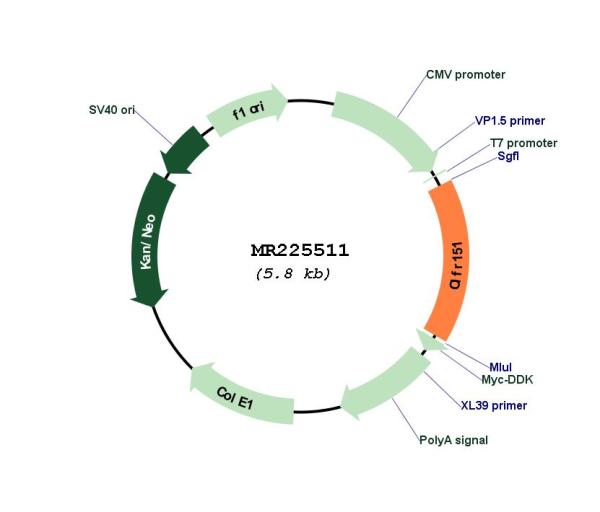 Circular map for MR225511