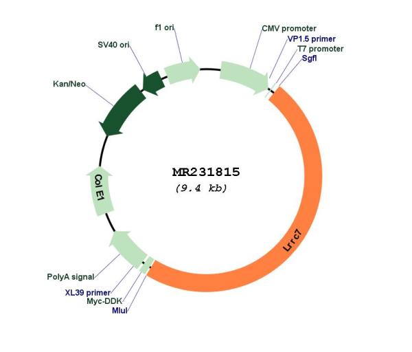 Circular map for MR231815