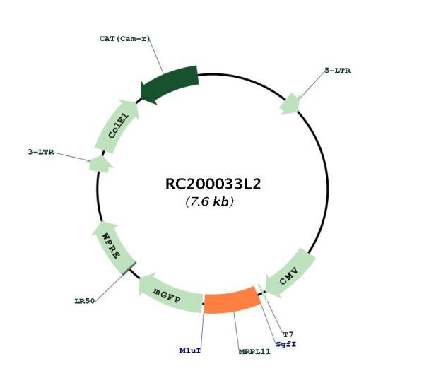 Circular map for RC200033L2