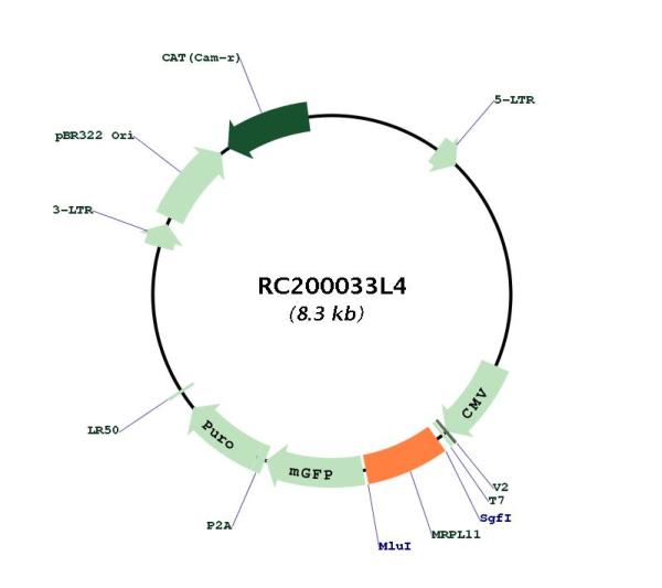 Circular map for RC200033L4