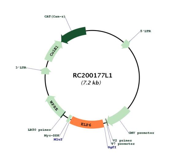 Circular map for RC200177L1
