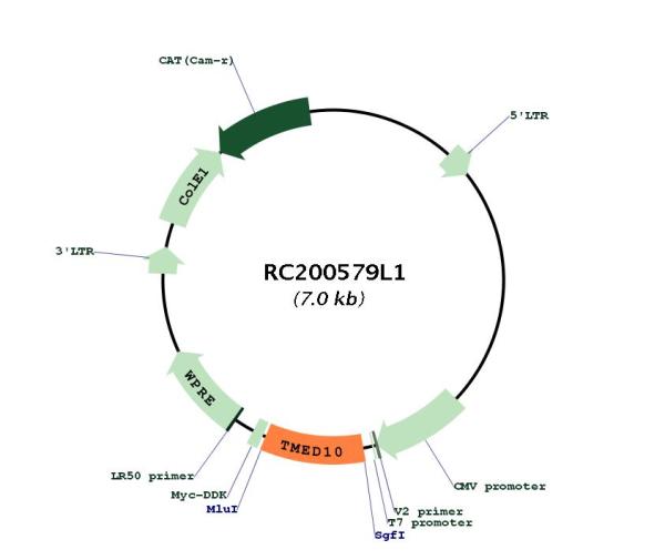 Circular map for RC200579L1