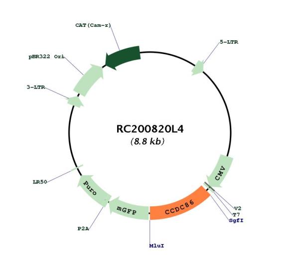 Circular map for RC200820L4