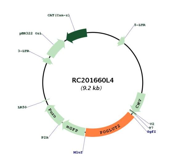 Circular map for RC201660L4