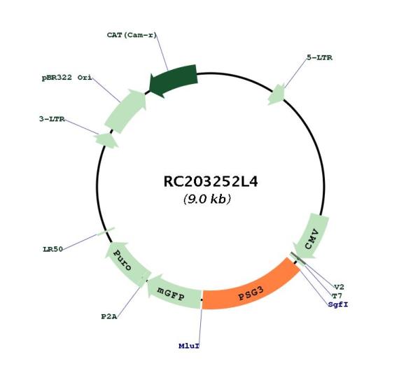Circular map for RC203252L4