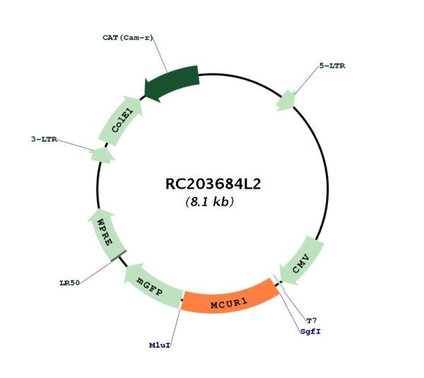 Circular map for RC203684L2