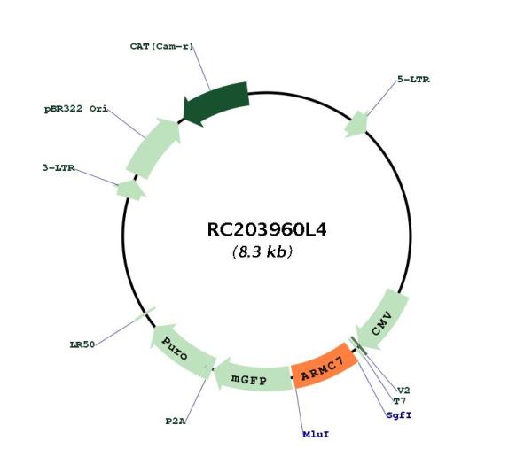 Circular map for RC203960L4