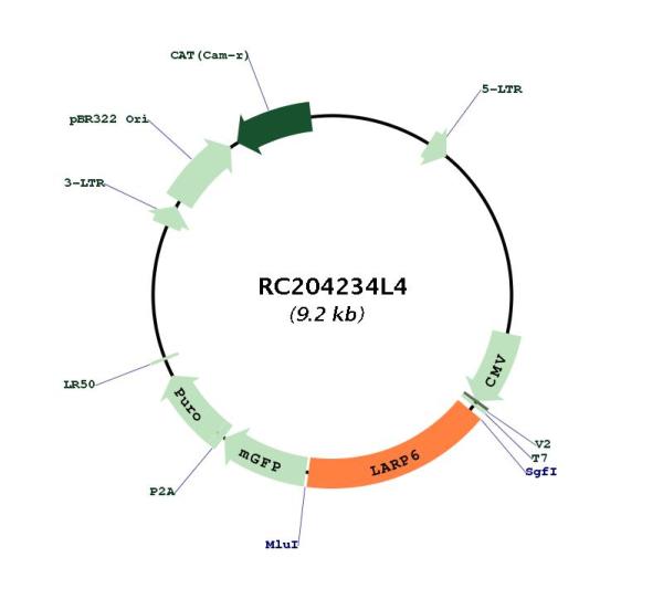 Circular map for RC204234L4