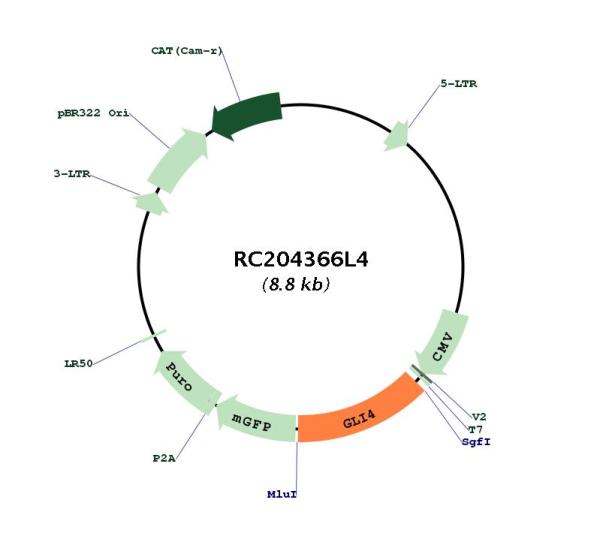 Circular map for RC204366L4