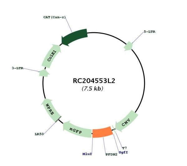 Circular map for RC204553L2