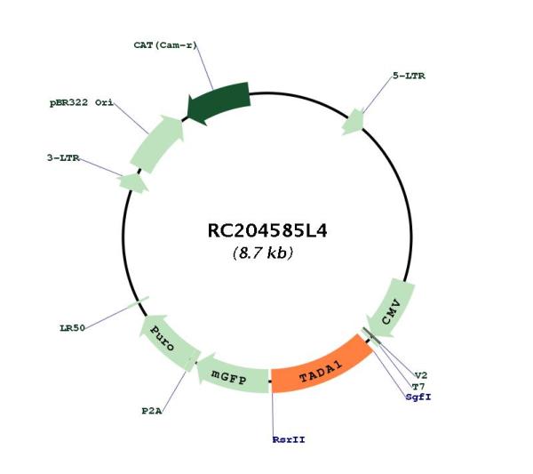 Circular map for RC204585L4