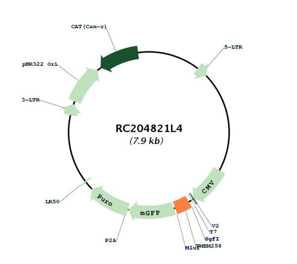 Circular map for RC204821L4