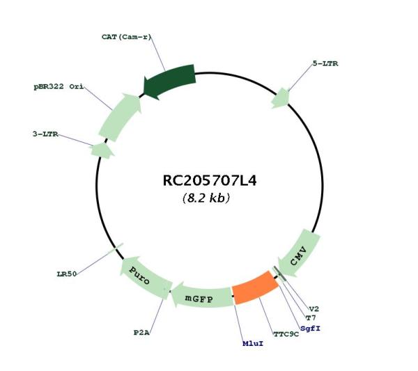 Circular map for RC205707L4