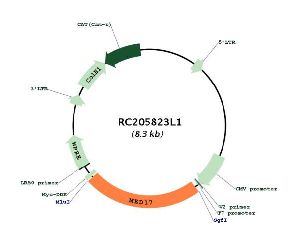 Circular map for RC205823L1