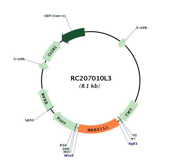 Circular map for RC207010L3