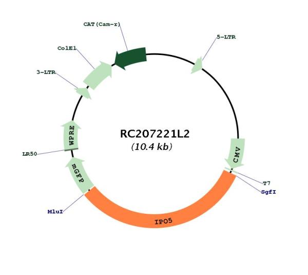 Circular map for RC207221L2