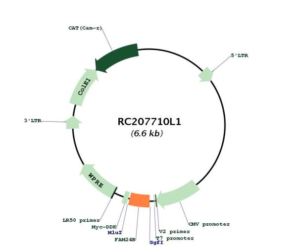 Circular map for RC207710L1