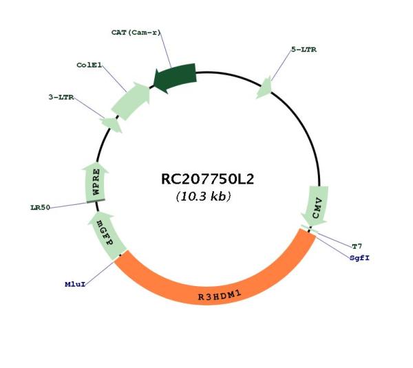 Circular map for RC207750L2
