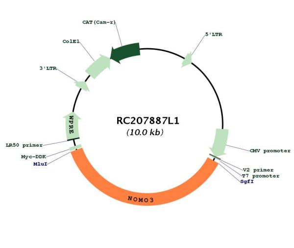 Circular map for RC207887L1