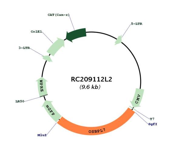 Circular map for RC209112L2