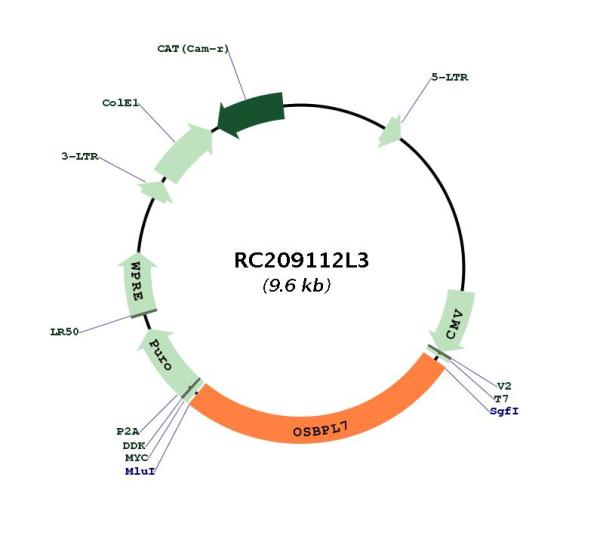 Circular map for RC209112L3