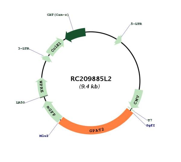 Circular map for RC209885L2