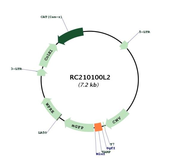 Circular map for RC210100L2