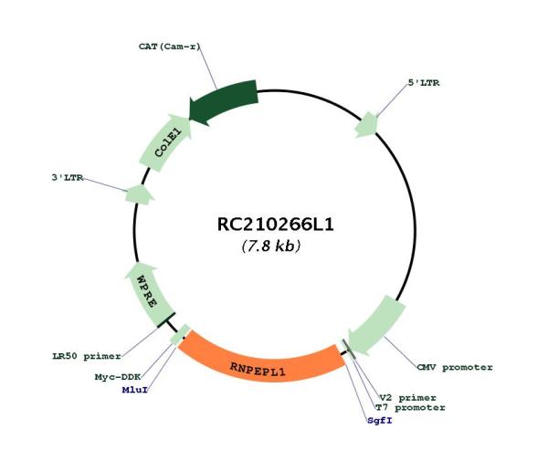 Circular map for RC210266L1