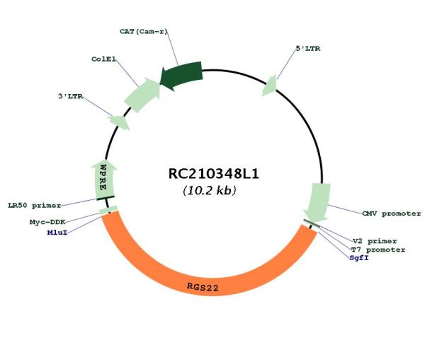 Circular map for RC210348L1