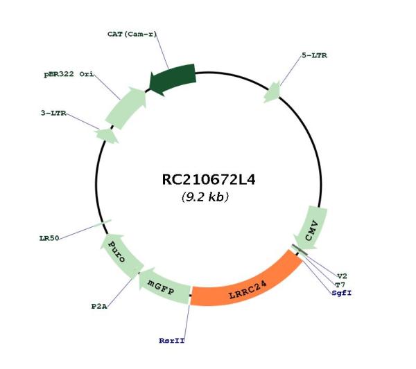 Circular map for RC210672L4