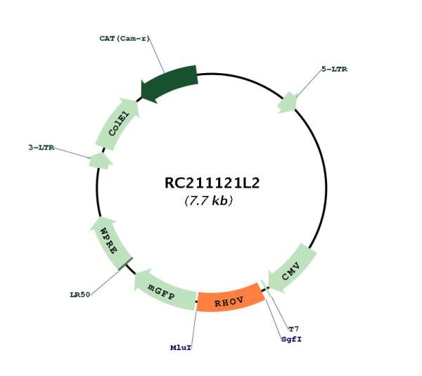 Circular map for RC211121L2