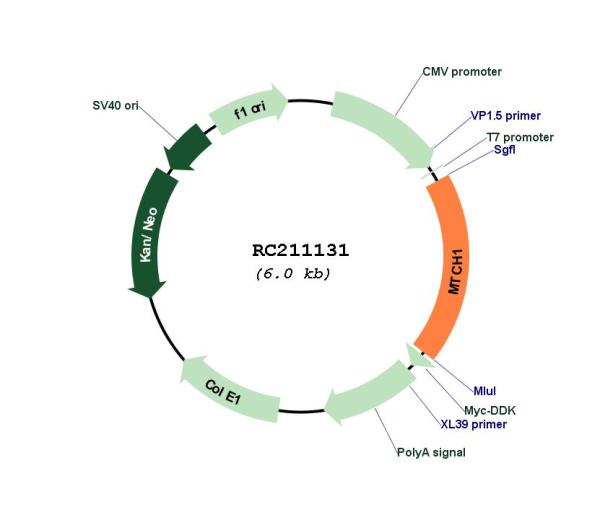 Circular map for RC211131