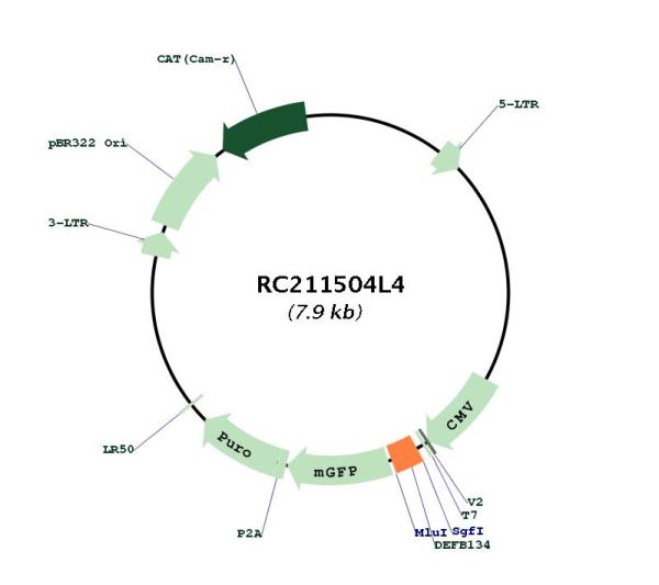 Circular map for RC211504L4