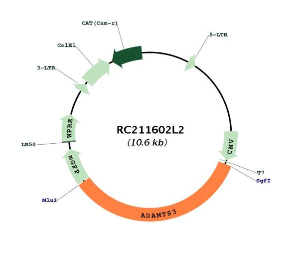 Circular map for RC211602L2