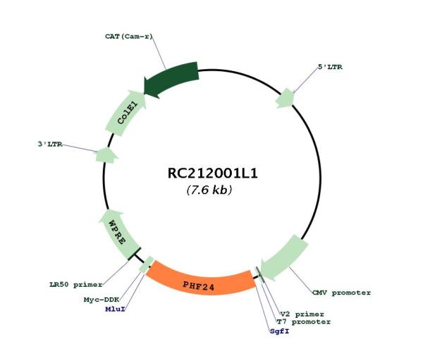 Circular map for RC212001L1