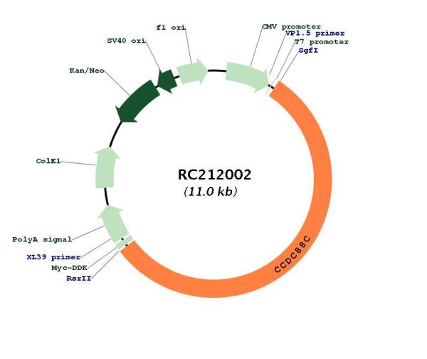 Circular map for RC212002