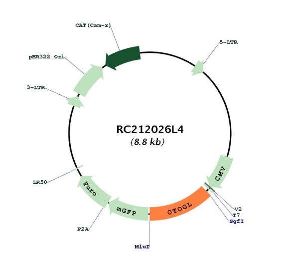 Circular map for RC212026L4