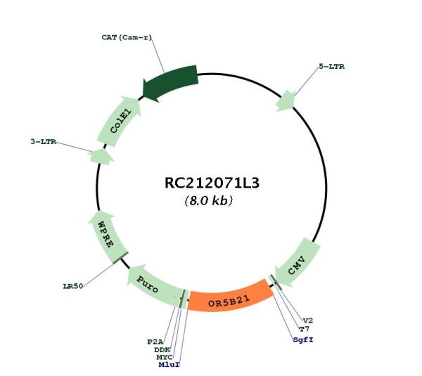 Circular map for RC212071L3