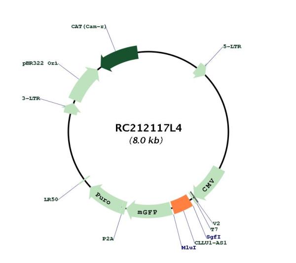 Circular map for RC212117L4