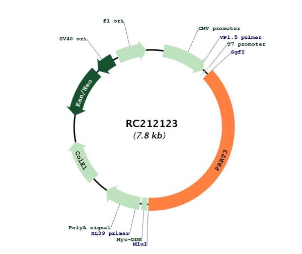 Circular map for RC212123